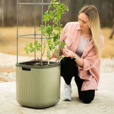 Image showing  Self-Watering Tomato Planter with Trellis - Sage Green