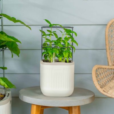 Image showing  Self-Watering Mini Planter Pot with Trellis, Cream White, 2 pk.