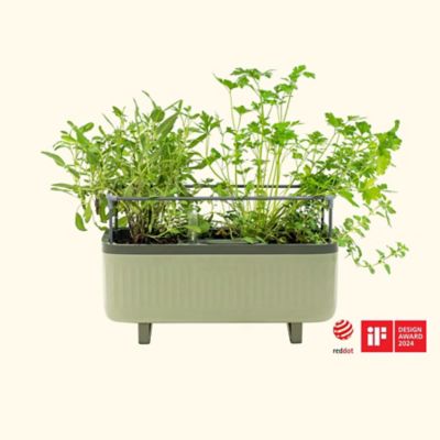 Vego Garden Self-Watering Herb Planter Box with Trellis, Sage Green