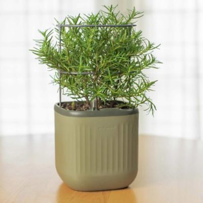 Image showing  Self-Watering Mini Planter Pot with Trellis, Sage Green
