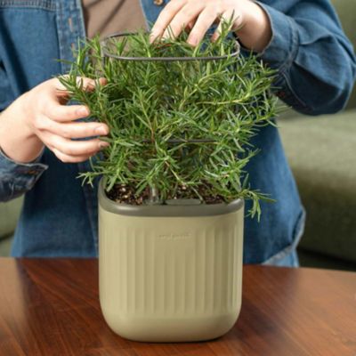 Image showing  Self-Watering Mini Planter Pot with Trellis, Sage Green