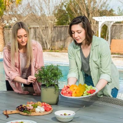 Image showing  Self-Watering Mini Planter Pot with Trellis, Sage Green
