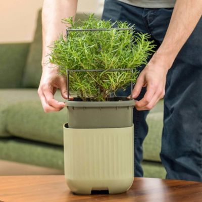 Image showing  Self-Watering Mini Planter Pot with Trellis, Sage Green