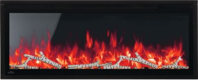 Napoleon Entice 42 Wall-Hanging Electric Fireplace