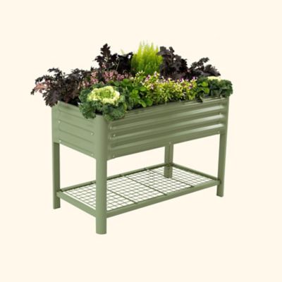 Image showing  Elevated Garden Bed - 2x4 ft - Olive Green
