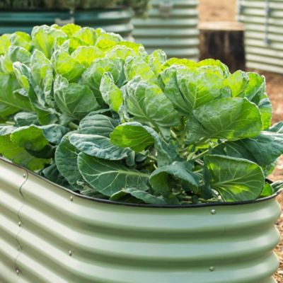 Image showing  26 in. Tall Classic 6-In-1 Modular Metal Raised Garden Bed Kit, Olive Green