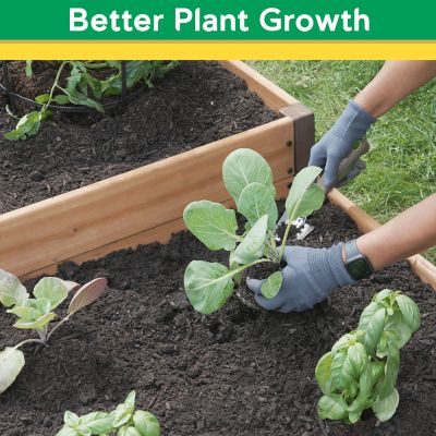 Image showing  Wood 4 x 8ft. 2-Tier Raised Garden Bed