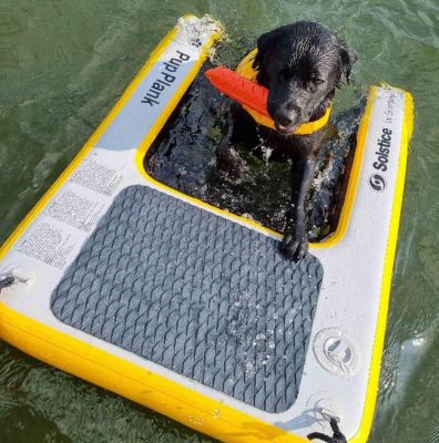 Image showing 6 th Solstice Watersports Pup Plank Mini Pet Ramp, 30lbs, 33424