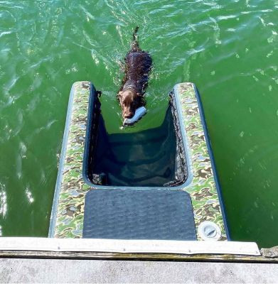 Image showing  Pup Plank XL, Camo Pet Ramp, 200lbs, 33250