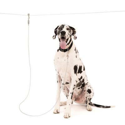 Carlson Pet Products Extra-Large Trolly Cable & Dog Tie-Out