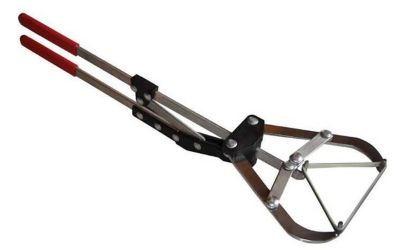 Image showing  Tri Bander XL