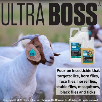 Image showing  Ultra Boss Pour-On