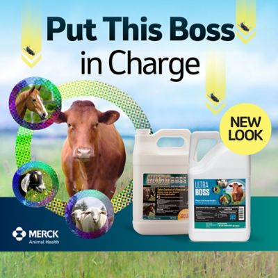 Image showing 5 th Merck Ultra Boss Pour-On