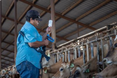 Image showing  Allflex 25MR2 Syringe