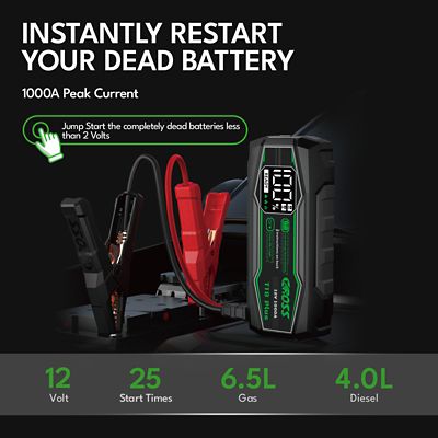 Image showing  1000A 12V Portable Jump Starter