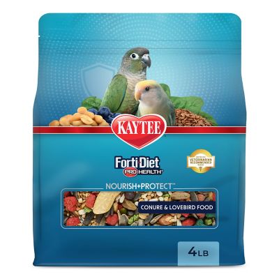 KT Fortidiet Conure, 5 lb.