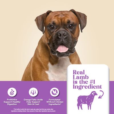 Image showing 4health Sensitive Skin and Stomach Lamb and Rice Formula Dry Dog Food