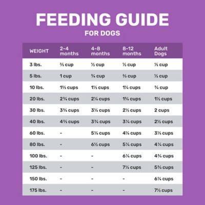 Image showing  All Life Stages Sensitive Skin and Stomach, Lamb and Rice Formula Dry Dog Food