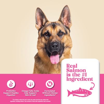 Image showing 2 th 4health with Wholesome Grains All Life Stages Sensitive Skin and Stomach, Salmon and Rice Formula Dry Dog Food