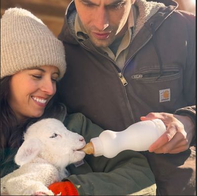 Image showing  Lamb and Goat Feeding Bottle