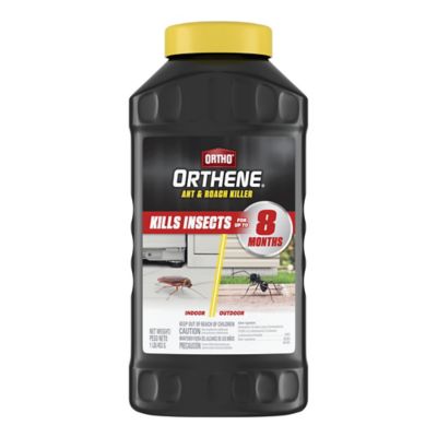 Ortho Orthene Ant and Roach Killer, 16oz