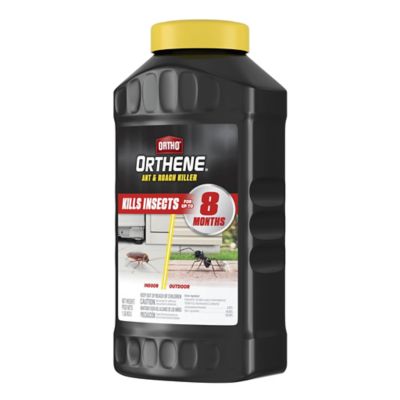 Image showing 5 th Ortho Orthene Ant and Roach Killer, 16oz
