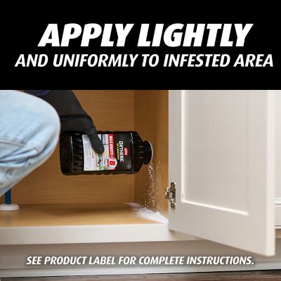 Image showing 6 th Ortho Orthene Ant and Roach Killer, 16oz