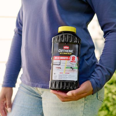 Image showing 7 th Ortho Orthene Ant and Roach Killer, 16oz