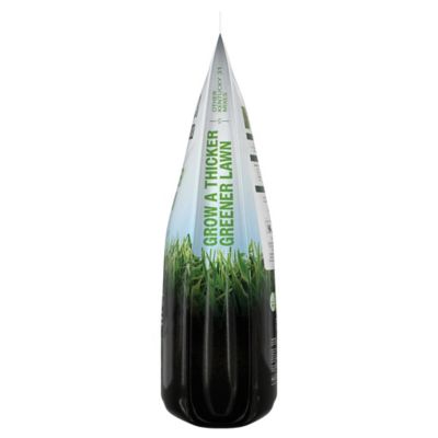 Image showing  Kentucky 31 Mix 40 lb.