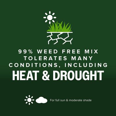 Image showing 6 th Scotts Kentucky 31 Mix 40 lb.