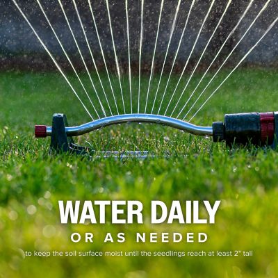 Image showing 9 th Scotts Kentucky 31 Mix 40 lb.