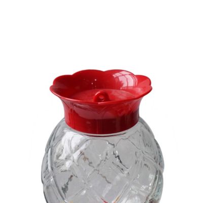 Image showing  30 oz. Pineapple Hummingbird Feeder, Red