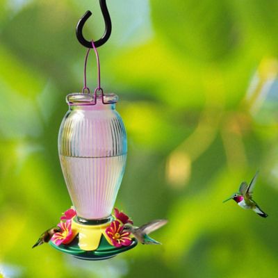 Image showing  30 oz. Ombre Glass Hummingbird Feeder