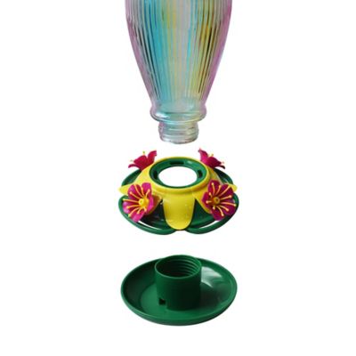 Image showing  30 oz. Ombre Glass Hummingbird Feeder