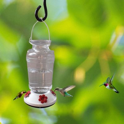 Image showing  29 oz. Milk Jug Hummingbird Feeder, White