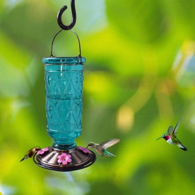 Image showing  30 oz. Glass Hummingbird Feeder, Blue