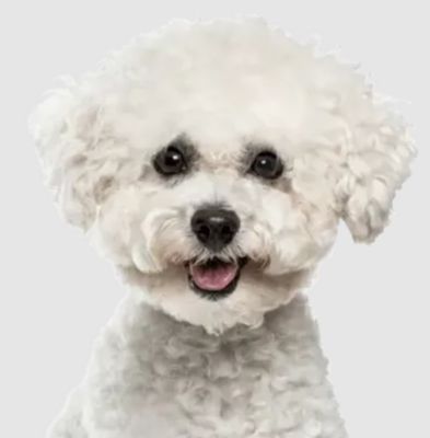 Image showing  30/20 Performance All Life Stages Chicken Recipe Dry Dog Food, 30 lb. Bag
