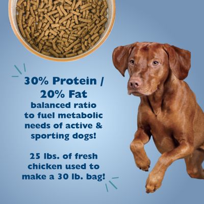 Image showing  30/20 Performance Dry Dog Food