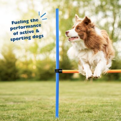 Image showing  30/20 Performance Dry Dog Food