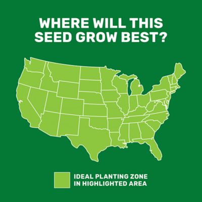 Image showing  4.5 lb. 400 sq. ft. Fast Patch Lawn Repair Mulch, Seed and Fertilizer Mixture