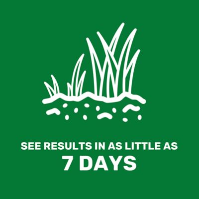 Image showing  4.5 lb. 400 sq. ft. Fast Patch Lawn Repair Mulch, Seed and Fertilizer Mixture