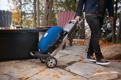 Image showing 8 th Napoleon TravelQ 285X Portable Propane Gas Grill with Scissor Cart, Blue
