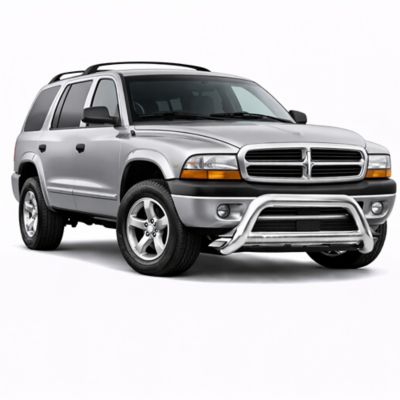 Image showing  A Bar, Stainless, Fits 97-03 Dodge Durango.