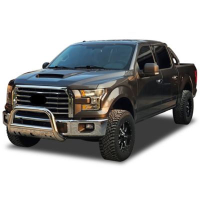 Image showing  Bull Bar Stainless fits 03-17 Ford Expedition