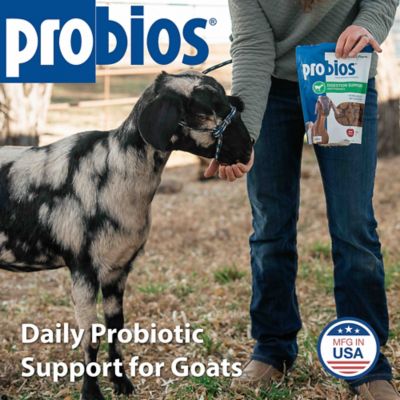 Image showing  Digestive Support Goat Soft Chews 1.32g