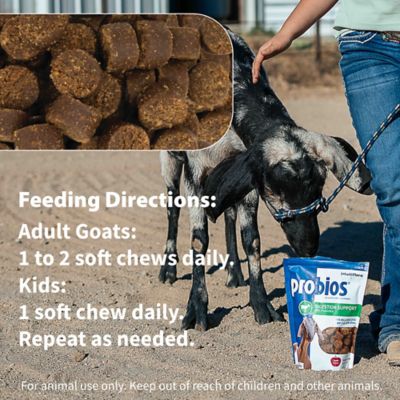 Image showing  Digestive Support Goat Soft Chews 1.32g