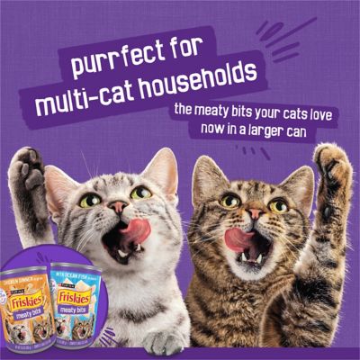 Image showing 8 th Purina Friskies Meaty Bits Variety Pack