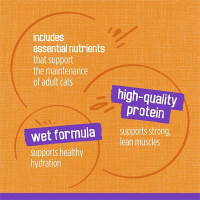 Image showing 5 th Purina Friskies Meaty Bits Chicken Dinner in Gravy