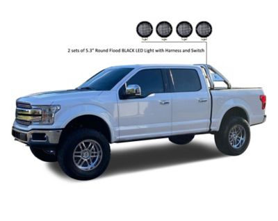 Image showing  Classic Roll Bar SS fits 1/2 Ton Trucks (GM-FORD-DODGE-TOYOTA) with 5.3 in. Round Flood LED Black