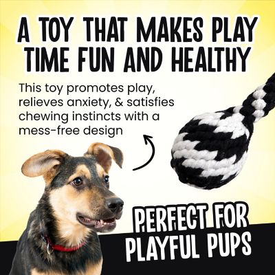 Image showing  Super Scooch Rope Drumstick Squeaky Dog Tug Toy Small